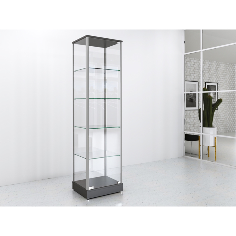 Gablota szklana 50x45x190cm