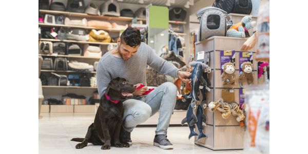 Wyposażenie sklepu z artykułami dla zwierząt